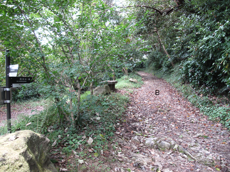 20150924hike (101)